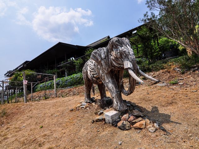 Monsoon Valley Vineyard @Hua Hin, Thailand