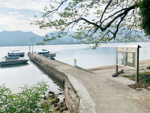 荔枝窩