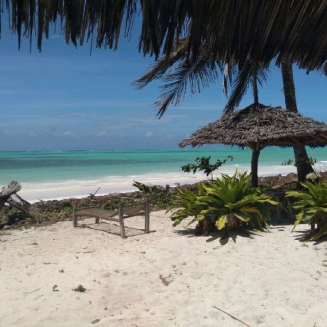 여기가 낙원, 잔지바르 🏖 아프리카의 여름은 어떤모습일까? 