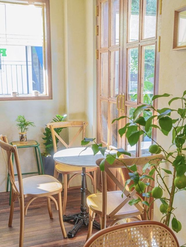 서울숲 근처 유럽감성 신상카페🌿