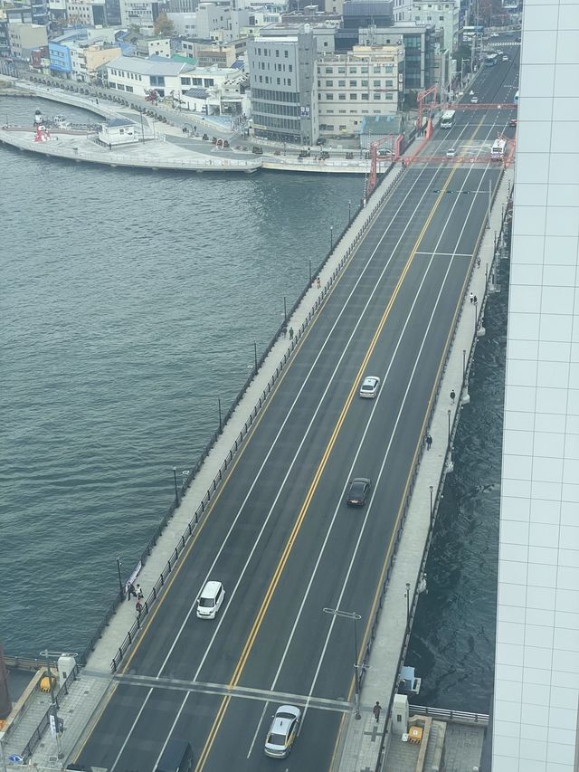 부산 호캉스 추천 🌊영도 오션뷰 ‘노스하버호텔’