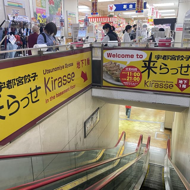 【来らっせ】宇都宮中の餃子が集まるお店