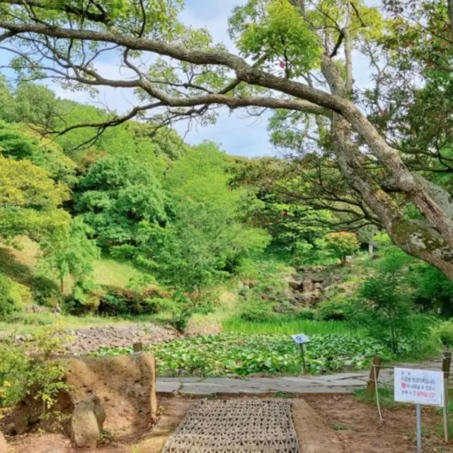 제주시 노형동 한라수목원