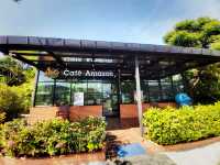 Cafe Amazon ☕️