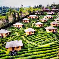 Traditional Scenic Thai Chinese Village