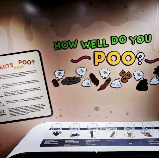 Know Your Poo And The Lazer Maze