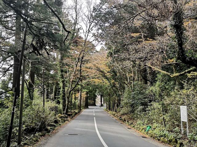 Beautiful Shrine in Hakone 