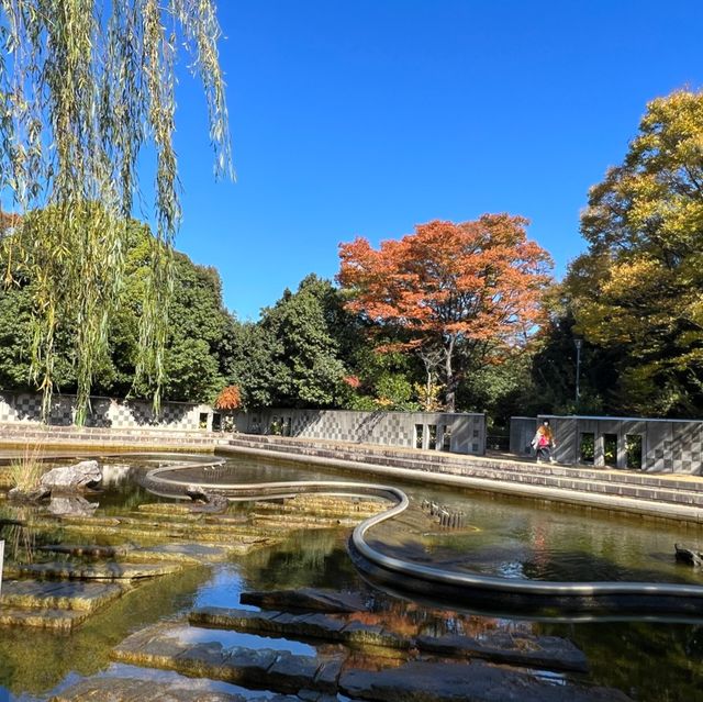 名古屋 楓葉下 的白鳥庭園🍁🍁