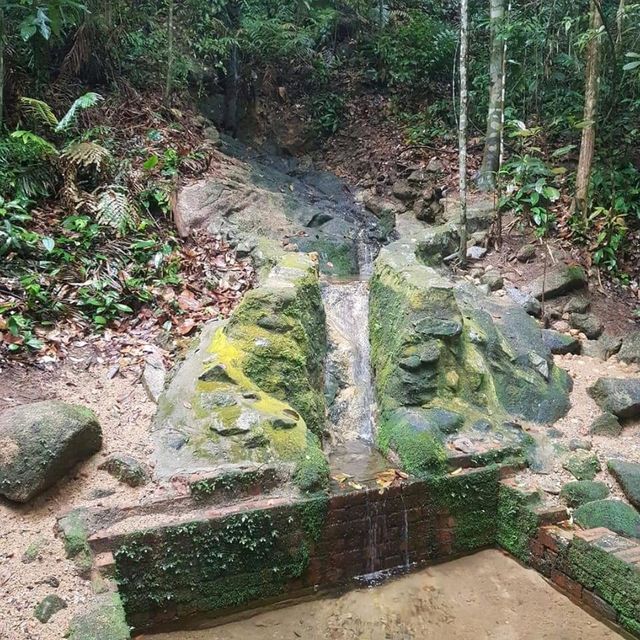 Bukit Timah Nature Trial