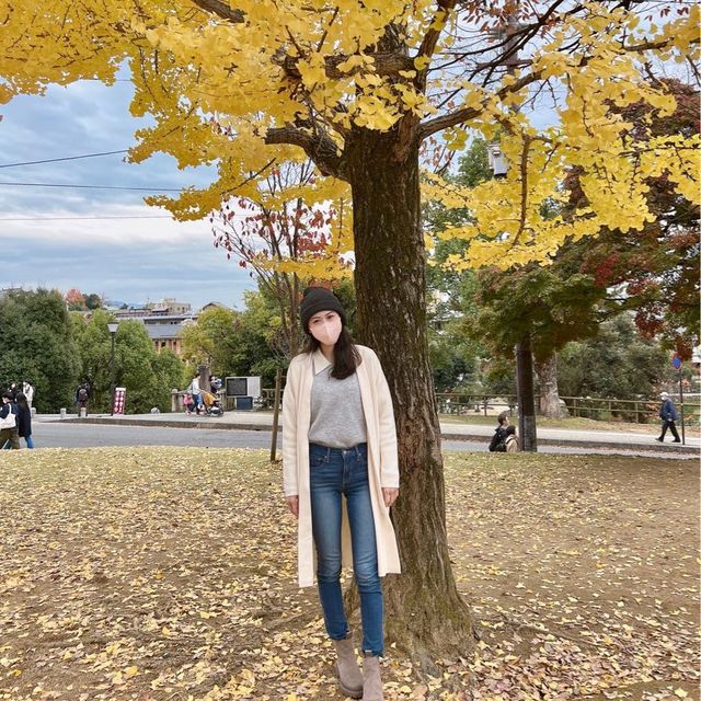 日本奈良公園｜真的好多🦌鹿，一旁的烤地瓜攤販很好吃😍