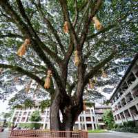 เรียบแต่หรู ที่เน้นบรรยากาศล้านนา ริมแม่น้ำกกเต็มๆ
