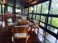CERA GARDEN คาเฟ่ลับบรรยากาศป่าไม้ ชุมพร