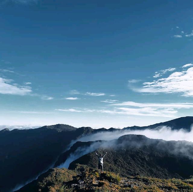 Leuser national park montain