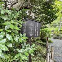 白雲洞茶苑　付属茶花園