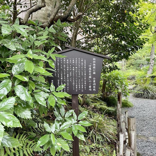 白雲洞茶苑　付属茶花園