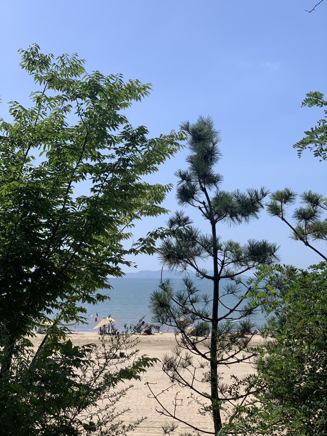 서울 근교 해수욕장 피크닉 :: 방아머리 해수욕장🏖