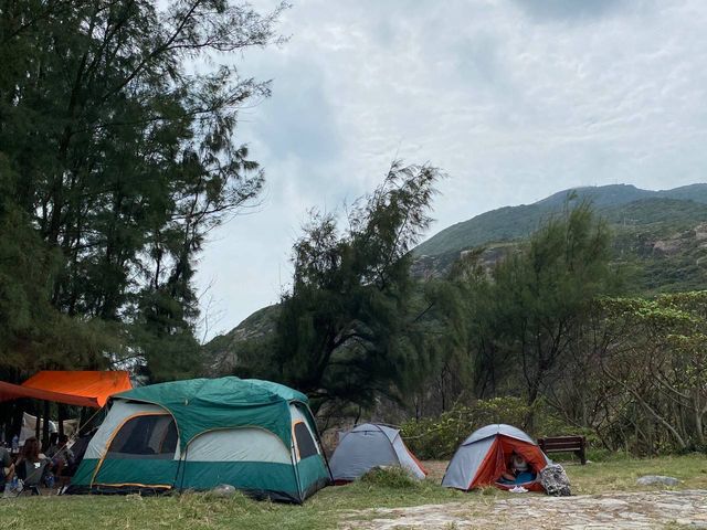 假日東龍島之旅