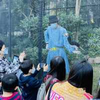 香港動植物公園150週年活動