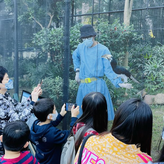 香港動植物公園150週年活動