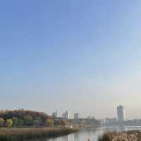 광교호수공원 보면서 브런치 먹는 ‘세상의 모든아침’💙