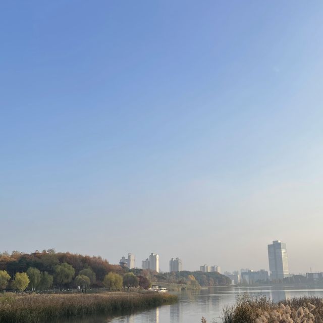 광교호수공원 보면서 브런치 먹는 ‘세상의 모든아침’💙