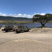 Wildlifes at their best, Ngorongoro