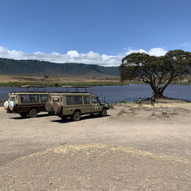 Wildlifes at their best, Ngorongoro
