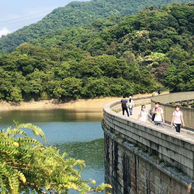 香港行山｜金山郊野公園（馬騮山）🐒🐒🐒🐒
