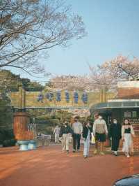 🌸진주 진양호공원🌸