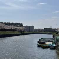 【北海道:函館】春の五稜郭公園をぶらり散策