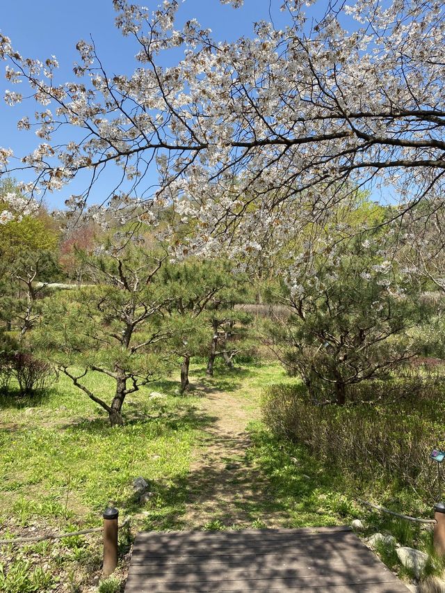 💛광교산 등산💛