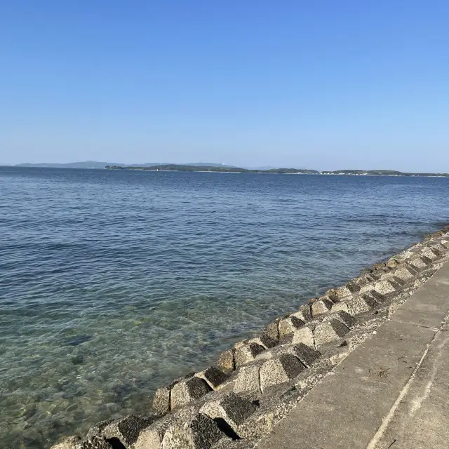 週末島一周自転車旅！