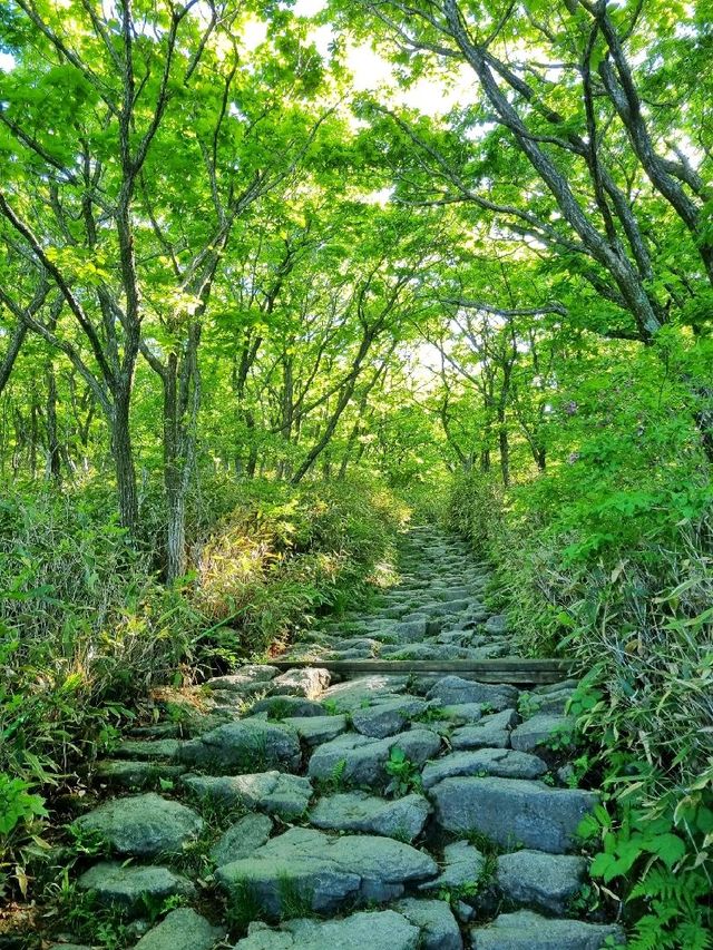 지리산 노고단 3시간이면 충분!