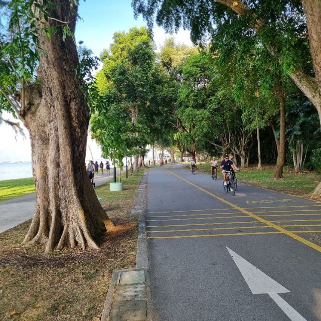Cycling At East Coast Park