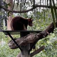 Adelaide Zoo