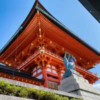 京都「伏見稻荷大社」之「千本鳥居」 💁🏻‍♂️ 連續兩年被票選為外國人訪日最受歡迎的景點