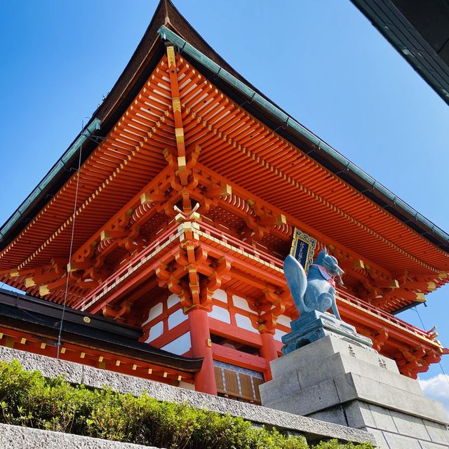 京都「伏見稻荷大社」之「千本鳥居」 💁🏻‍♂️ 連續兩年被票選為外國人訪日最受歡迎的景點