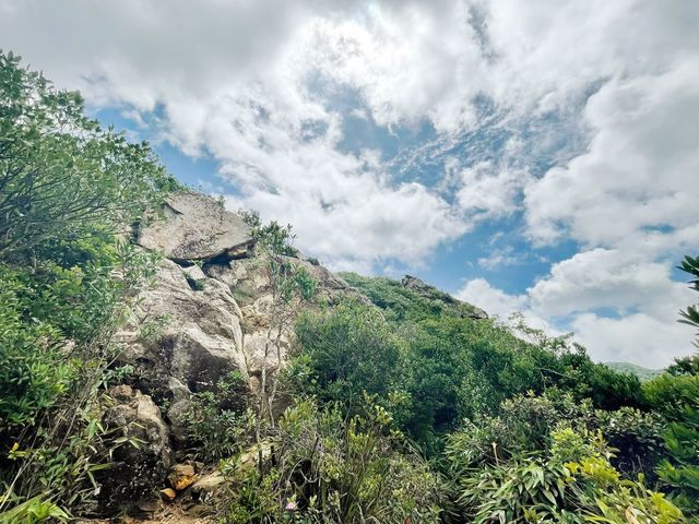 新手級行山路線