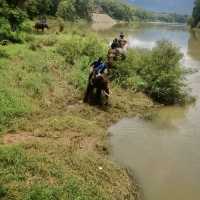 Visiting Elephants camp 