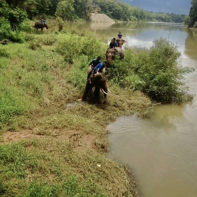 Visiting Elephants camp 