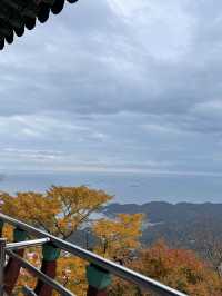 [경남/남해]남해의 핫플 보리암까지 단풍구경겸 등산하기🍁
