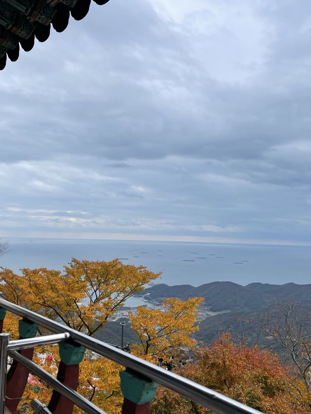 [경남/남해]남해의 핫플 보리암까지 단풍구경겸 등산하기🍁
