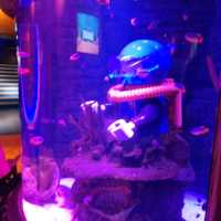 The Sealife At Legoland Malaysia