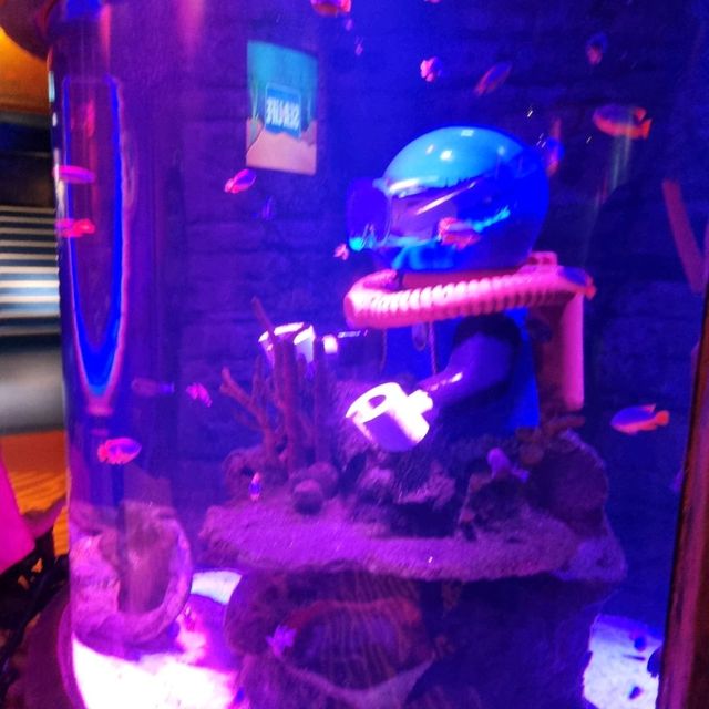 The Sealife At Legoland Malaysia
