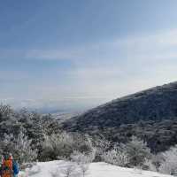 제주도 설산의 매력, 한라산은 겨울이 가장 예쁘다