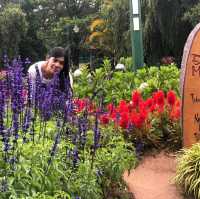 Dalat Flower Garden