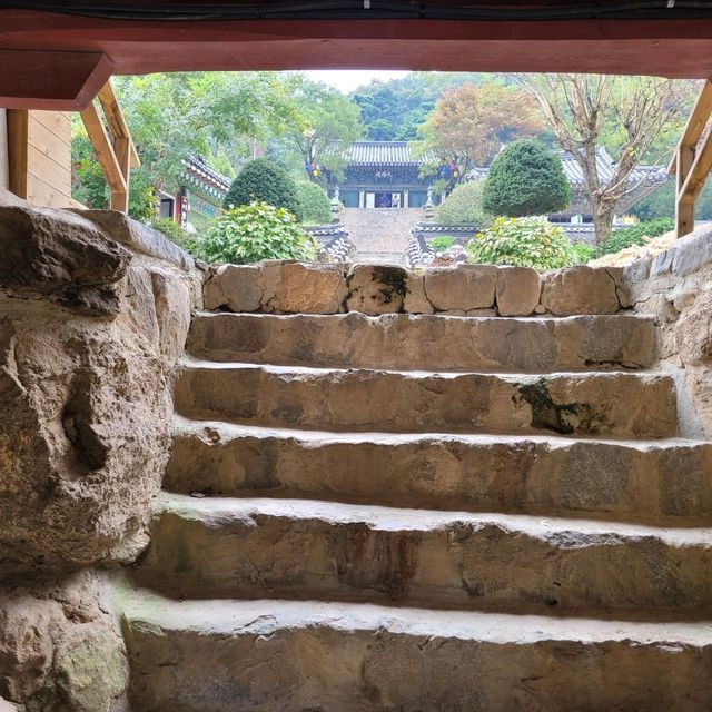 안성 석남사에 서운산 단풍이 찾아왔어요