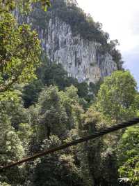 Amazing canopy walk in Mulu park