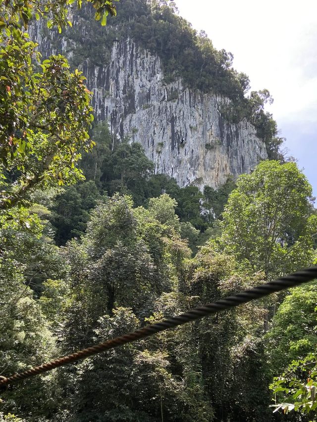 Amazing canopy walk in Mulu park