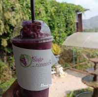 🍇 ไร่องุ่นหอมแผ่นดิน